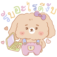 Tambo Tam dog : Shopping onlinee