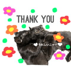 AYUMI_20211102171015