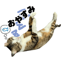 Hana_20211102204829