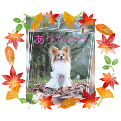 yukari_20211102220002