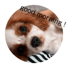 sakkolo_20211102220929