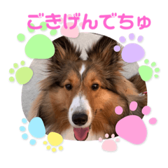 miki_20211102192114