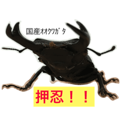 Stag Beetle Beetle Stamp Line Stickers Line Store