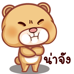 Funny Brown Bear (Kum-muang)