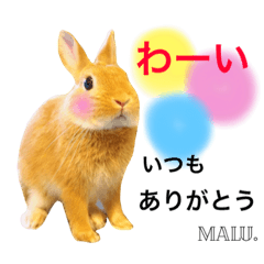 Rabbit MALU3