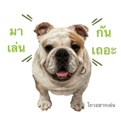 Munn Touu