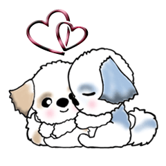 Dailly life and lover ver. of a Shih Tzu