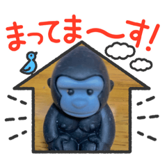 ringo_20211103122531