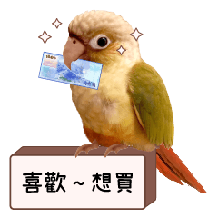 親親鳳梨小太陽