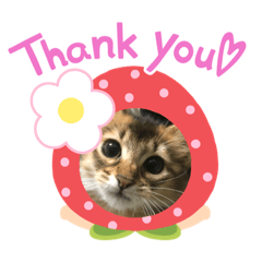 Junko_20211103100014