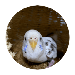 kento_20211103132116