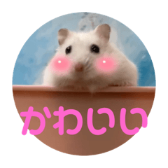 NANAMIN_20211103141612