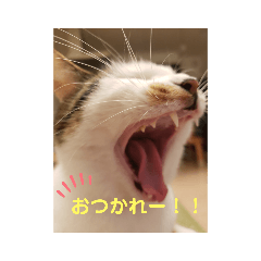 HANA_20211103163108