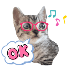 AYUMI_20211103165909