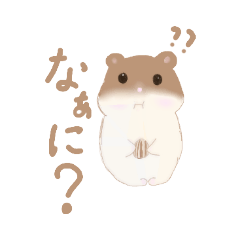aoi_20211103173251