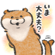 Cute lie otter: Conversation Starters