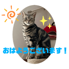 Ayumi_20211103193319