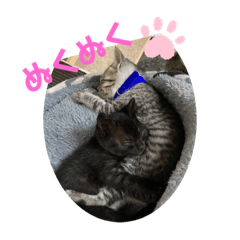 AYUMI_20211103211223