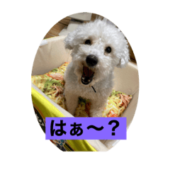 jack_20211103214519