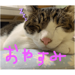 junko_20211103215948