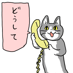 電話貓