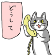 Telepon Kucing