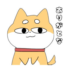 suzu_20211103224151