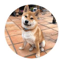 yuka_20211103232800