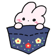 *mini rabbit*