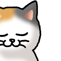 Cat honorifics part 1
