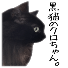 黒猫のクロちゃん 2