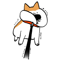 playful Shiba dog
