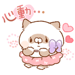 愛賣萌❤小貓咪３