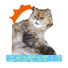 yukari_20211104094324