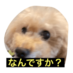 HIKARI_20211104134417