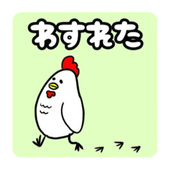 Various  chicks_KITARO