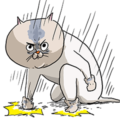 貓室友插畫貼圖17無字版