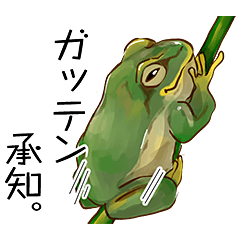 A frog living in Tekito