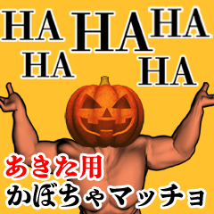 Akita Pumpkin macho
