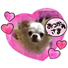 reo_20211104153935