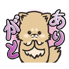 Pomeranian "Komachi" easy-to-use Sticker