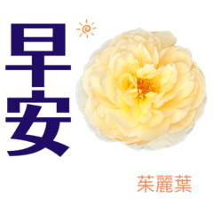 玫瑰花園語錄
