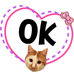 貓咪的日常用語002