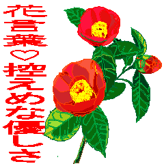 Using flower language, present