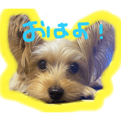 yuka_20211104223711