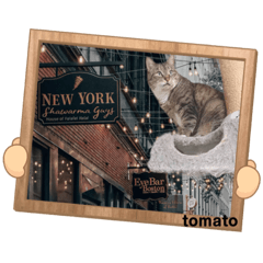 tommy_20211105114329