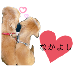 rina_20211105085424