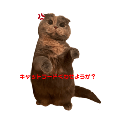 yuka_20211105122614