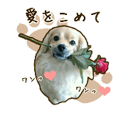 Wans*