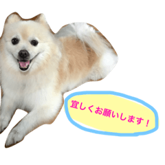 うちのポメラ！！！2